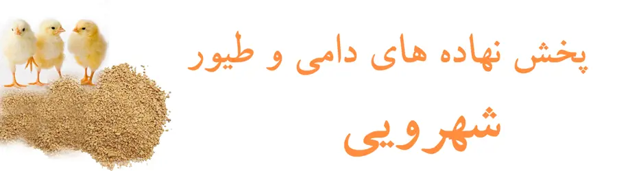 پخش نهاده های دامی و طیور
