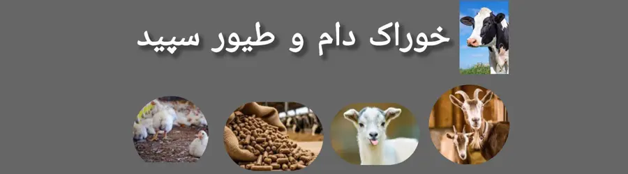 خوراک دام و طیور سپید