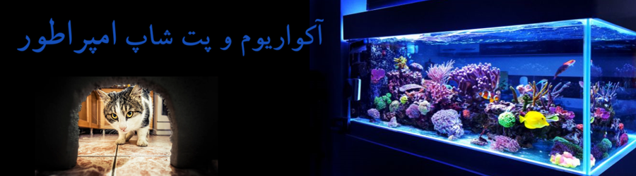 آکوا پت شاپ امپراطور