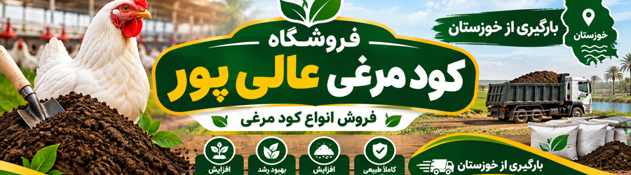 کودمرغی عالی پور