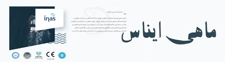 شرکت طرح و توسعه نیکسا