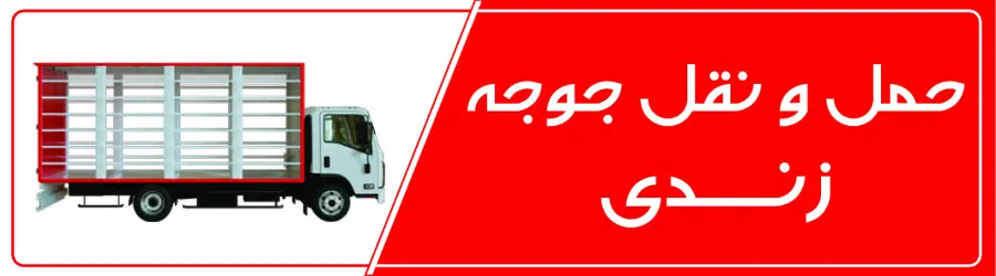 باربری زندی