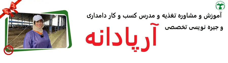 آرپا دانه