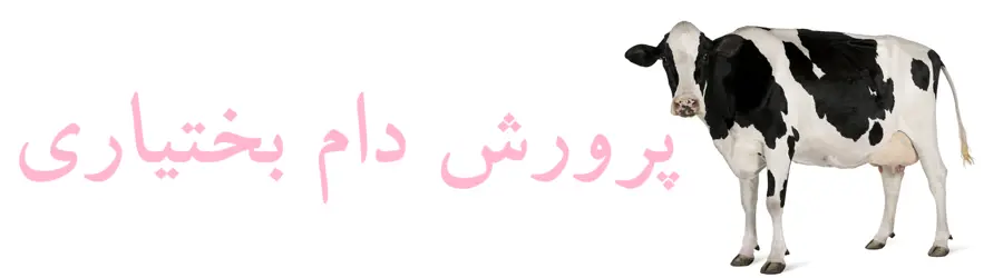 پرورش دام بختیاری