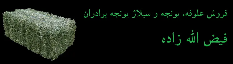 فروش سیلاژ یونجه تر برادران فیض اله زاده