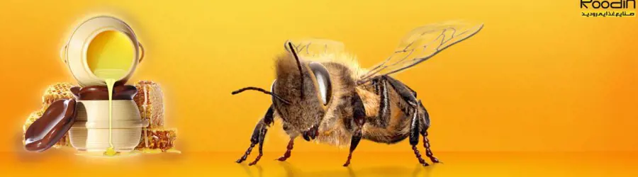 رودین