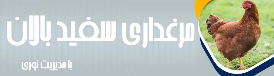 سپید بالان