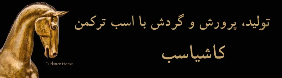 تولید، پرورش و گردش با اسب ترکمن