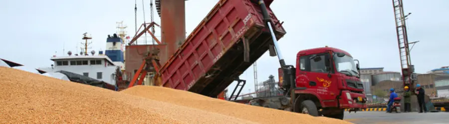 دفتر بازرگانی غلات و نهاده های دامی آقایاری