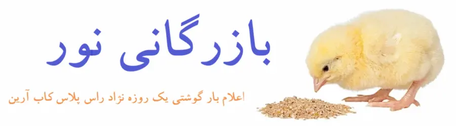 بازرگانی نور