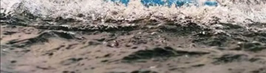 استخر پرورش ماهی ذوالفقاری