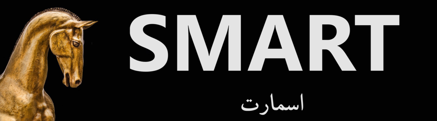 گروه تولیدی بازرگانی اسمارت هورس