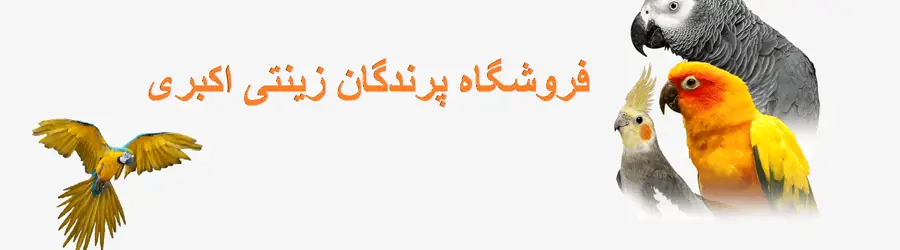 فروشگاه پرندگان زینتی ایران