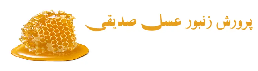 پرورش زنبور عسل صدیقی