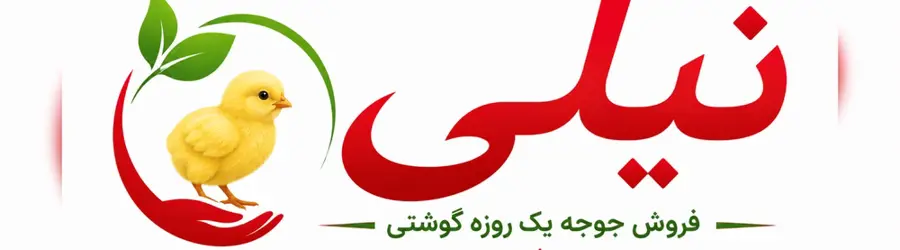 جوجه یک روزه گوشتی نیلی