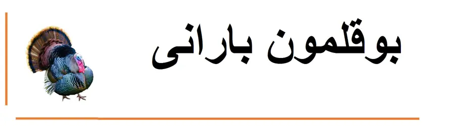 بوقلمون بارانی