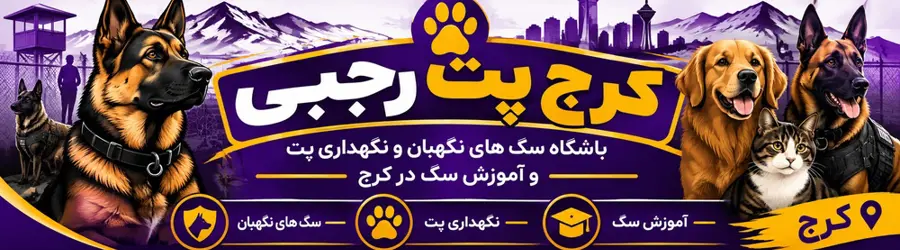باشگاه سگ های نگهبان کرج پت رجبی