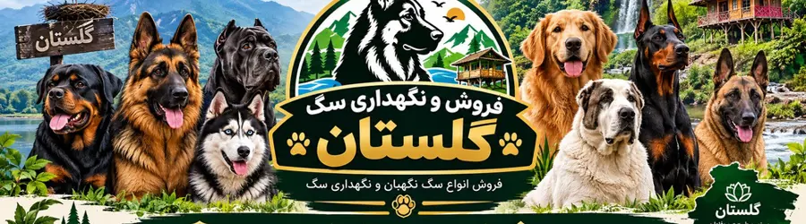 خرید و فروش سگ نگهبان گلستان