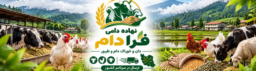 نهاده دامی فرا دام