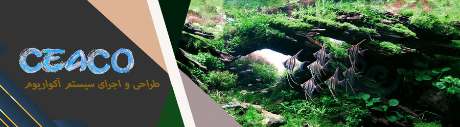 آبزی پرور کاسپین
