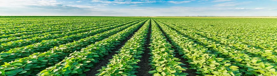 روابط عمومی جهاد کشاورزی شیراز