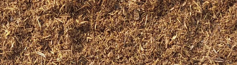 انواع سیلاژ  اقتصادی پاکدان البرز