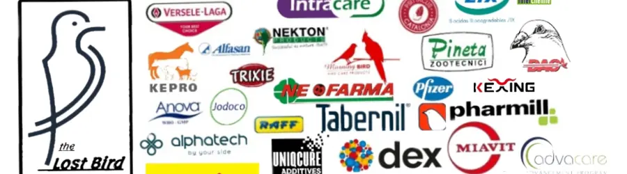 لاست برد فروشگاه آنلاین ملزومات پرندگان