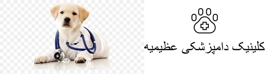 کلینیک دامپزشکی عظیمیه
