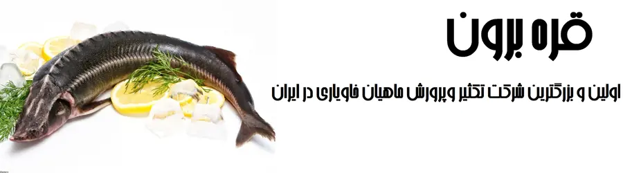 قره برون