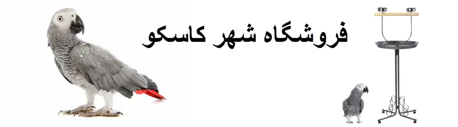 پرنده هاي زينتي