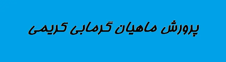 مزرعه پرورش ماهی گرمابی کریمی