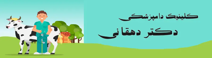 مطب دامپزشکی دکتردهقانی