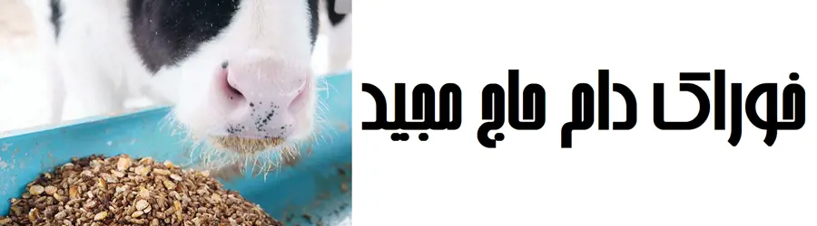 خوراک دام حاج مجید