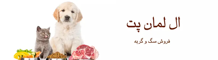 ال لمان پت