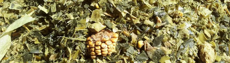 شرکت توزیع علوفه سرخه