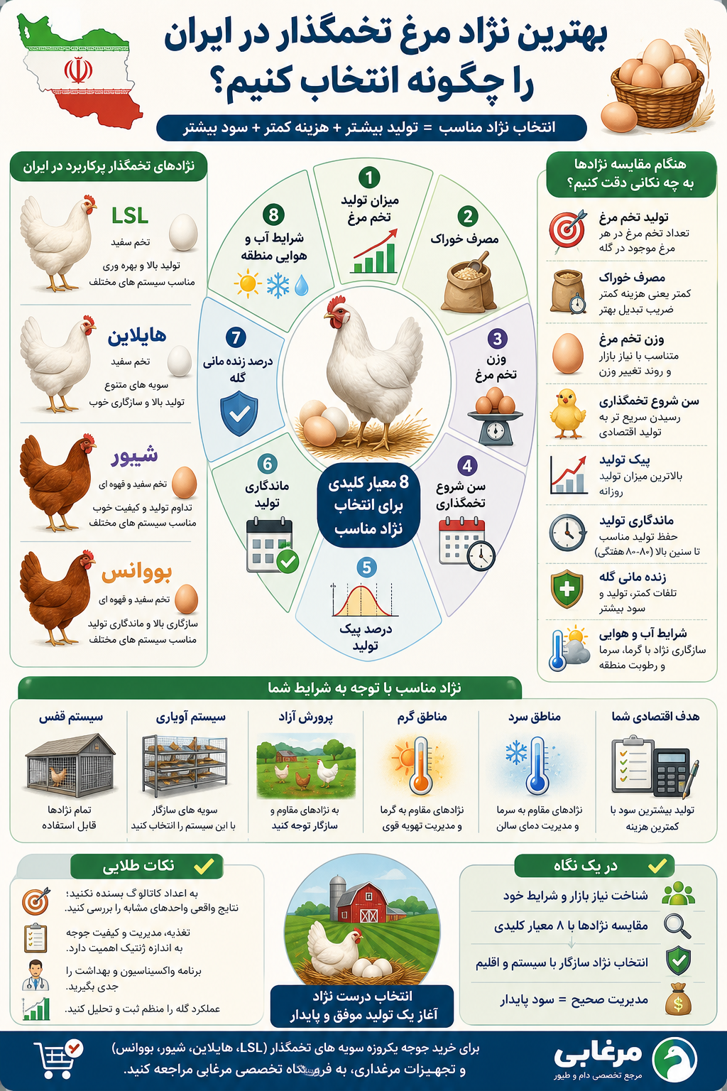 برای مقایسه سویه های تجاری مرغ تخمگذار، تنها تعداد تخم مرغ اهمیت ندارد و عواملی مانند رنگ تخم مرغ، مصرف خوراک، طول دوره تولید، سیستم پرورش و هدف اقتصادی مرغداری نیز باید در نظر گرفته شوند. جدول زیر مهم ترین تفاوت های LSL، هایلاین، شیور و بووانس را به صورت خلاصه نشان می دهد.