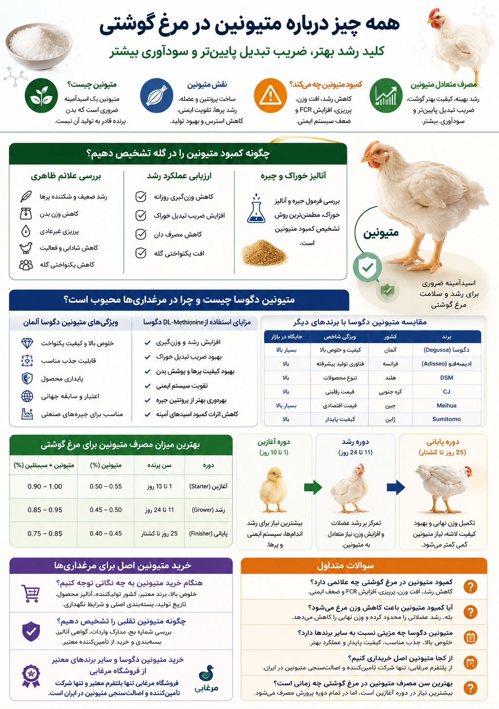 تعیین مقدار مناسب متیونین در جیره مرغ گوشتی یکی از مهم ترین عوامل موفقیت در پرورش صنعتی طیور محسوب می شود. نیاز پرنده به متیونین در طول دوره پرورش ثابت نیست و با افزایش سن، سرعت رشد و تغییر نیازهای متابولیکی تغییر می کند. به همین دلیل متخصصان تغذیه هنگام فرمولاسیون جیره، مقدار متیونین را متناسب با هر مرحله از رشد تنظیم می کنند تا حداکثر عملکرد تولیدی حاصل شود.