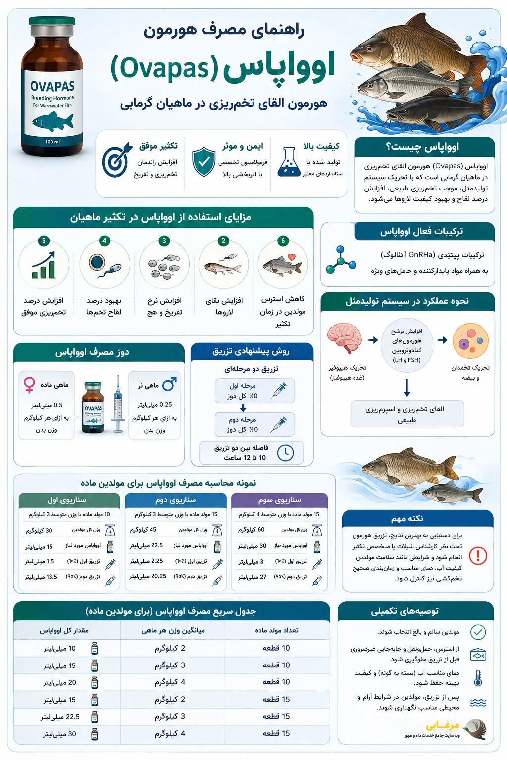 انفوگرافیک