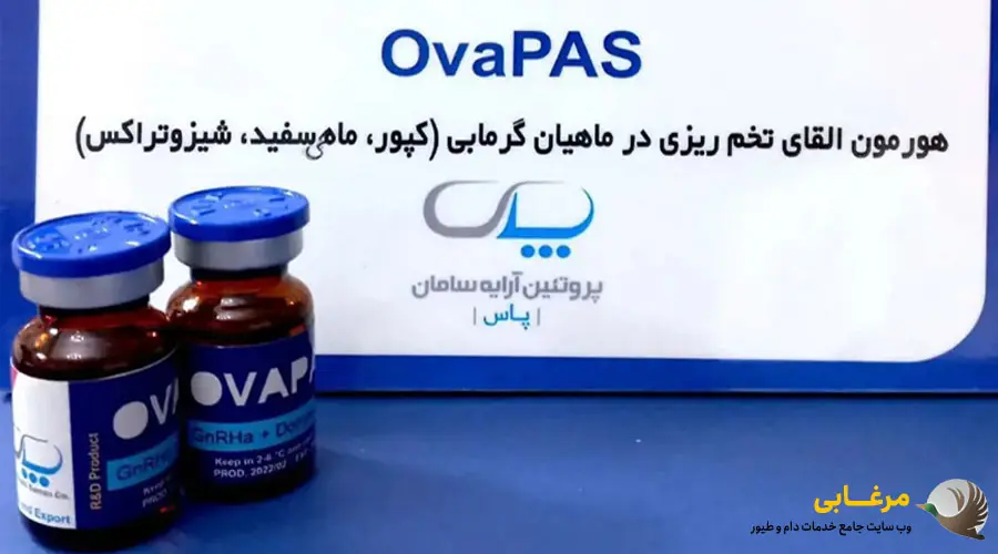 هورمون