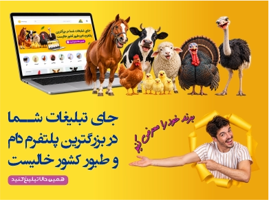 فروشگاه مرغابی