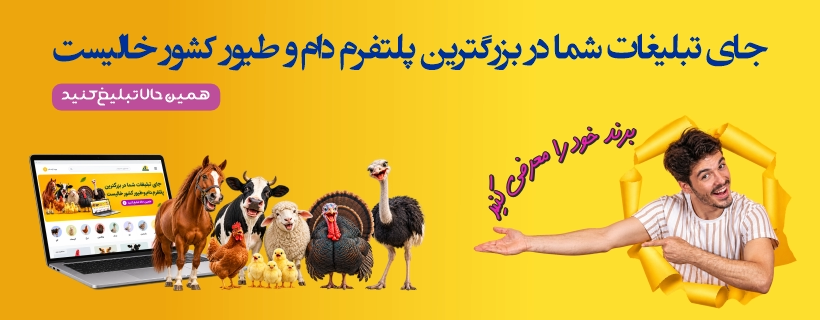 فروشگاه مرغابی