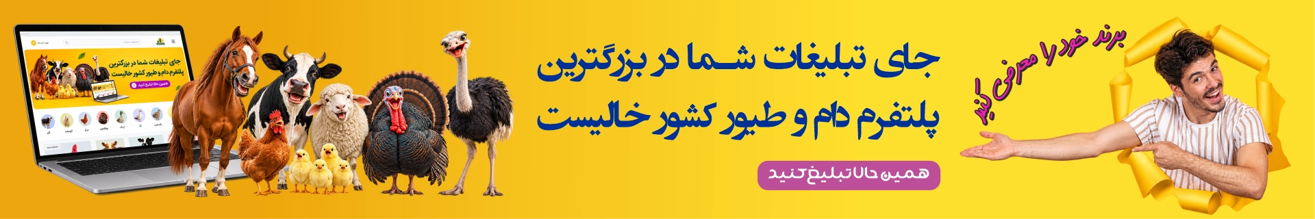 مرغابی