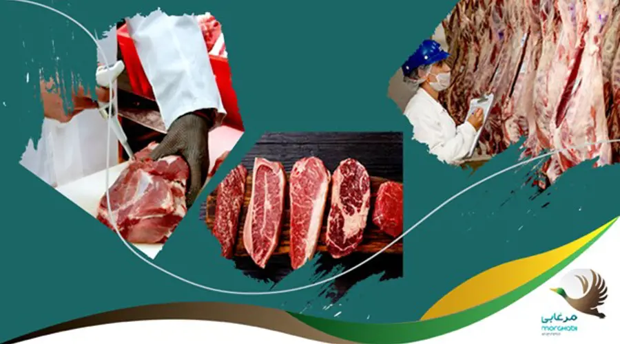 6 مؤلفه اساسی مؤثر بر کیفیت گوشت و نکات مهمی پیرامون آن