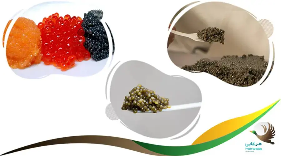 مزایای خاویار برای قلب و عروق زنان
