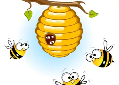 از ساختار بدن و آناتومی زنبور عسل تا تولید عسل با کیفیت