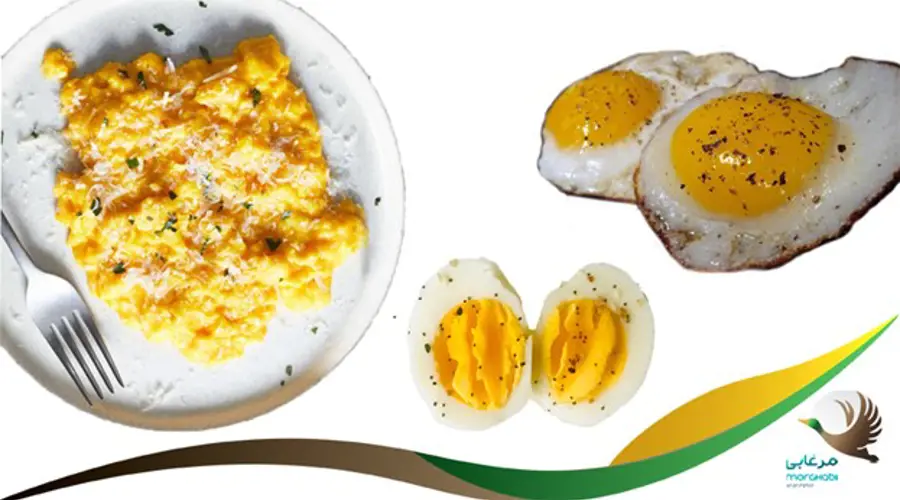 خواص مفید لوتئین و تولید تخم مرغ های غنی از لحاظ لوتئین