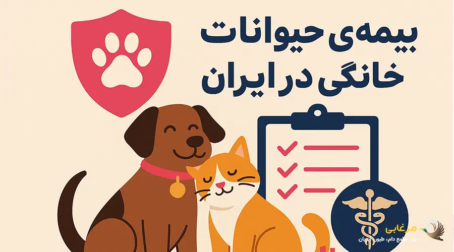 بیمه حیوانات خانگی