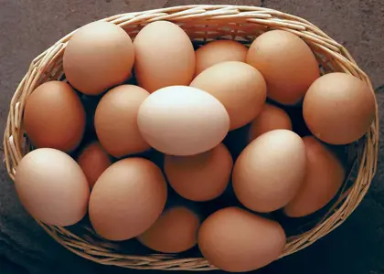 در تولید و عرضه تخم مرغ کمبودی در کشور وجود ندارد 
