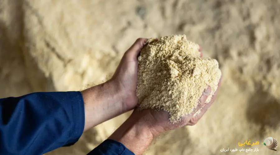 کنسانتره طیوری چیست