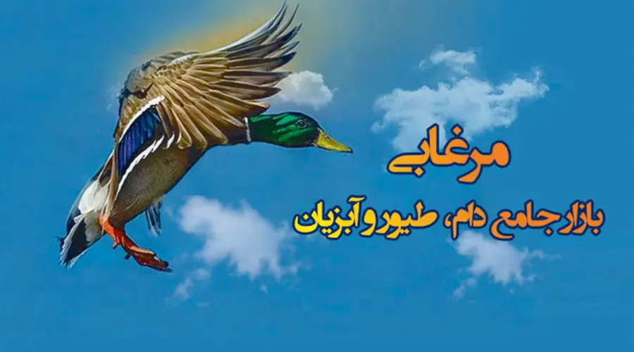 مرغابی، مرکز خرید غذای گربه در تهران